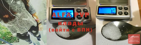 стаф Алексин