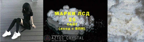 стаф Алексин