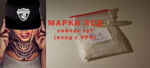 стаф Алексин