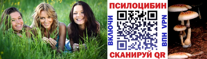 Псилоцибиновые грибы MAGIC MUSHROOMS площадка официальный сайт Камызяк